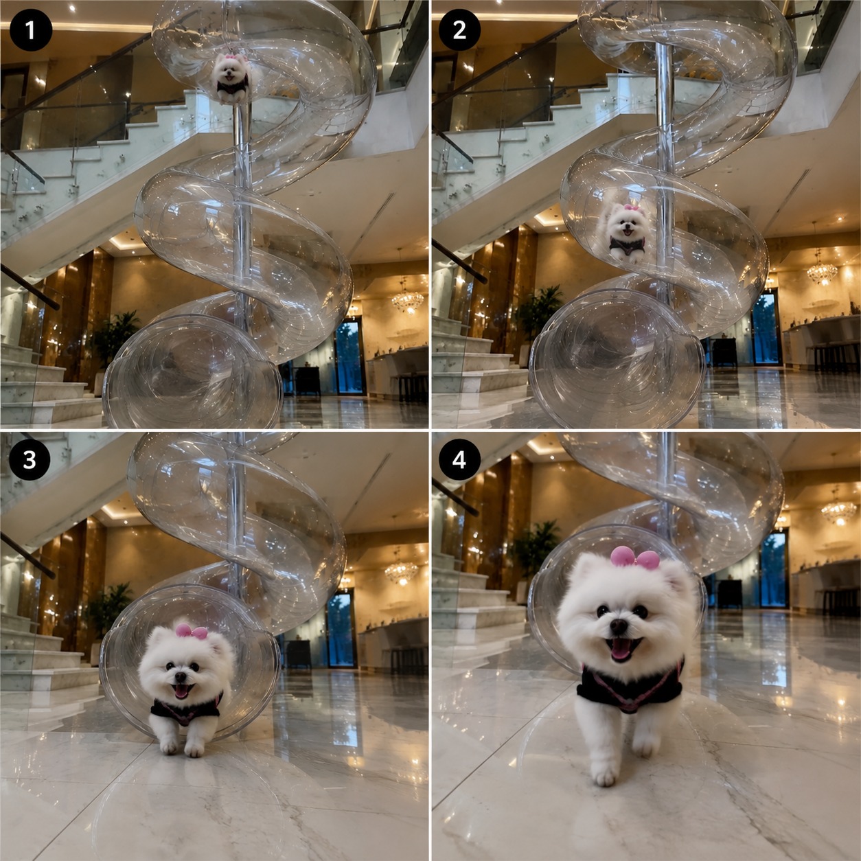 Luxury Indoor Spiral Glass Slide With Cute White Dog Ride Reveal AI video prompt